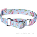 Safety Training Martingale Dog Collar No Buckle